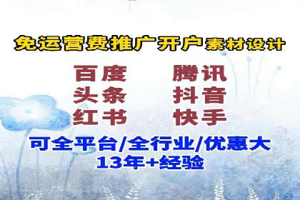 SEM运营策略案例分析